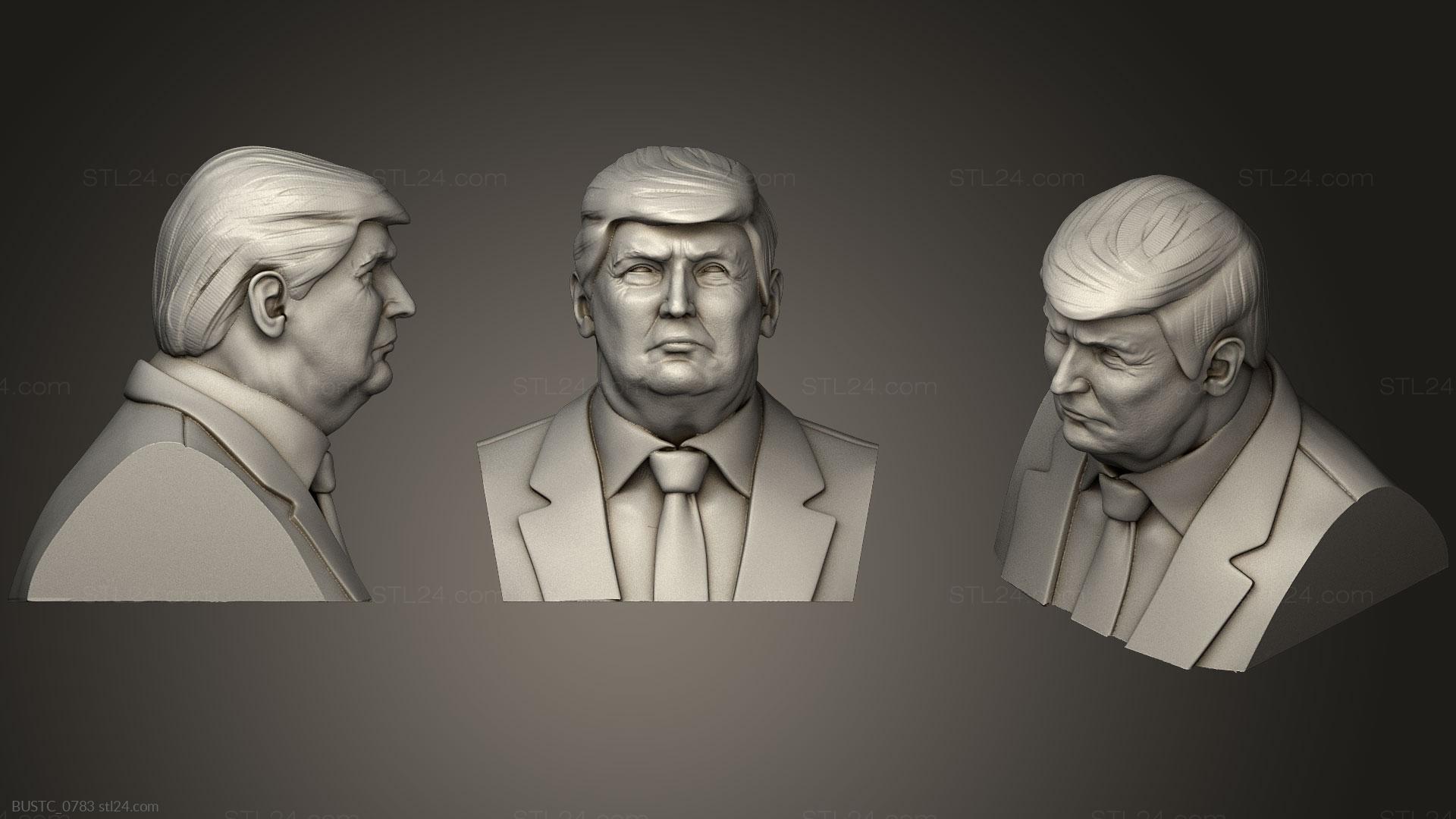 Бюсты и барельефы известных личностей (Дональд Трамп 25, BUSTC_0783) 3D модель для ЧПУ станка